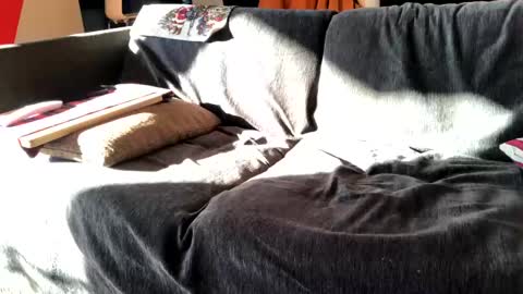 Snapshot of donizetti2017 chatting on 12/16/24, 11:44 Alfredo online show from 12/16/24, 11:44