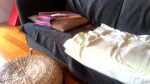 Snapshot of donizetti2017 chatting on 01/15/25, 09:02 Alfredo online show from 01/15/25, 09:02