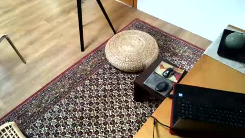 Snapshot of donizetti2017 chatting on 02/02/25, 02:24 Alfredo online show from 02/02/25, 02:24