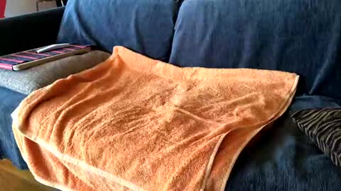 Snapshot of donizetti2017 chatting on 02/07/25, 08:55 Alfredo online show from 02/07/25, 08:55