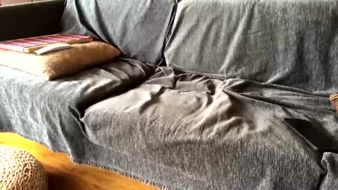 Snapshot of donizetti2017 chatting on 02/09/25, 09:47 Alfredo online show from 02/09/25, 09:47