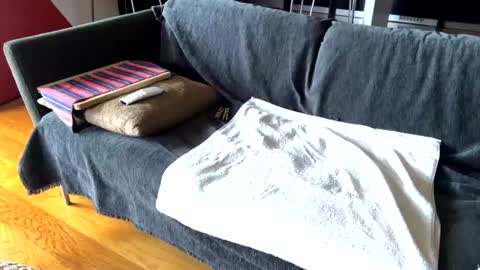 Snapshot of donizetti2017 chatting on 02/17/25, 09:46 Alfredo online show from 02/17/25, 09:46