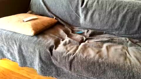 Snapshot of donizetti2017 chatting on 02/20/25, 08:39 Alfredo online show from 02/20/25, 08:39