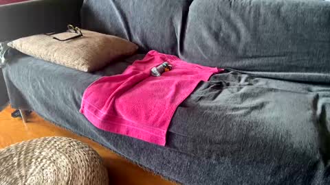 Snapshot of donizetti2017 chatting on 09/11/25, 11:10 Alfredo online show from 09/11/25, 11:10