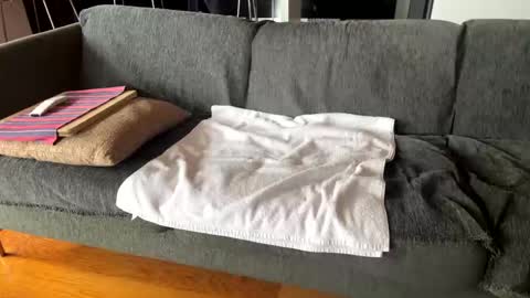 Snapshot of donizetti2017 chatting on 10/07/25, 10:12 Alfredo online show from 10/07/25, 10:12