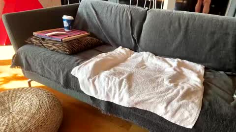 Snapshot of donizetti2017 chatting on 11/13/25, 10:58 Alfredo online show from 11/13/25, 10:58