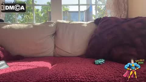 doodleman2077 online show from 10/07/25, 09:56