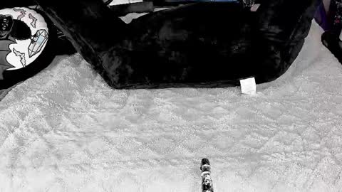 Snapshot of doomednympho chatting on 03/04/25, 05:56 DOOM online show from 03/04/25, 05:56