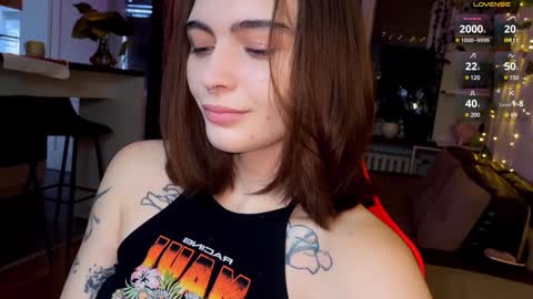 Alice online show from 12/12/24, 08:14