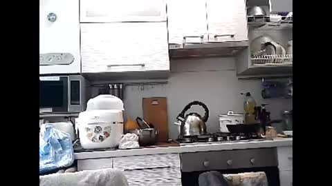 Dorrie Ann online show from 03/01/25, 08:13