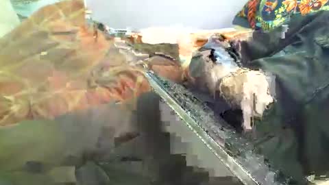 Hello  welcome to Slutsville  I am the Naked Chef  really  but you may call me Peter online show from 04/18/26, 12:20