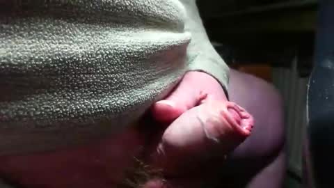 doscard online show from 12/14/24, 11:34