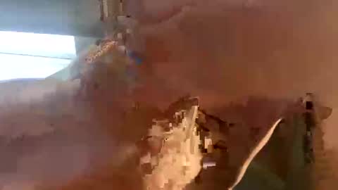 doug_funnie online show from 04/06/26, 07:26