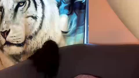 dove_love22 online show from 10/17/25, 09:06