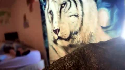 dove_love22 online show from 11/21/25, 08:40