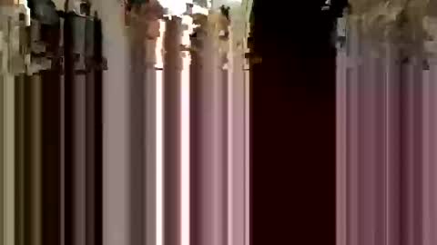 Snapshot of dpeter102 chatting on 12/20/25, 11:28 dpeter102 online show from 12/20/25, 11:28