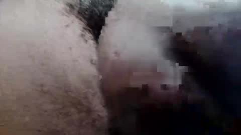 MrPirated online show from 09/29/25, 03:28