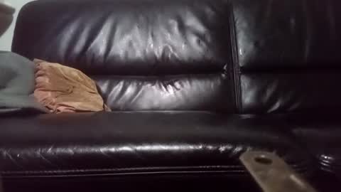 Snapshot of drbretholding chatting on 02/20/25, 03:56 Carsten Tenberg online show from 02/20/25, 03:56