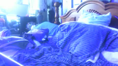 dreaded_folks online show from 12/16/25, 04:12