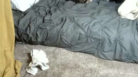 Dreadedted online show from 02/13/26, 04:58