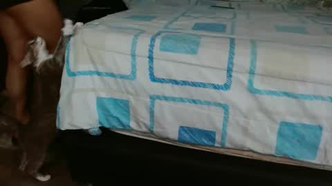 dreamreal online show from 11/01/25, 02:41