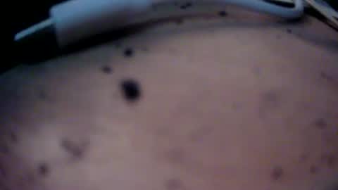 dreamy2020 online show from 01/22/25, 04:12