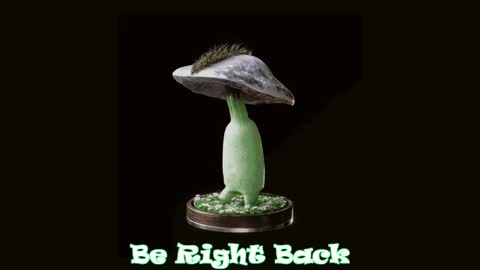 Tara  Sonny online show from 02/11/25, 03:18