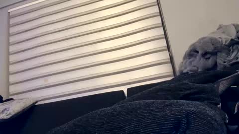 Snapshot of drippinggenie chatting on 12/26/24, 05:08 drippinggenie online show from 12/26/24, 05:08