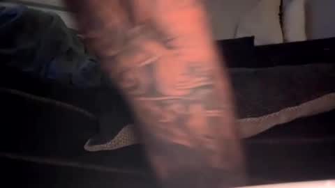 Snapshot of drippinggenie chatting on 01/03/25, 11:25 drippinggenie online show from 01/03/25, 11:25