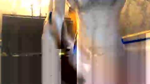 drippydickboy online show from 01/13/26, 06:02