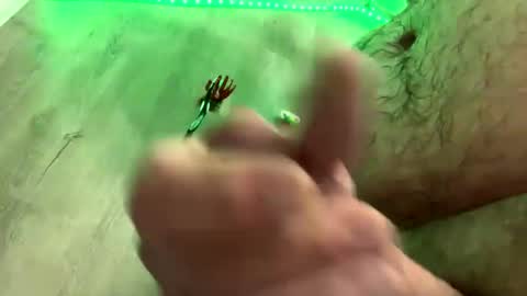 droppingloads82 online show from 01/01/25, 05:43