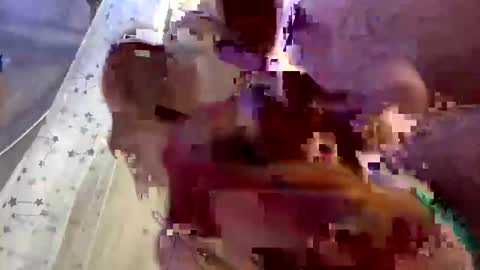 droppingloads82 online show from 02/01/25, 07:15