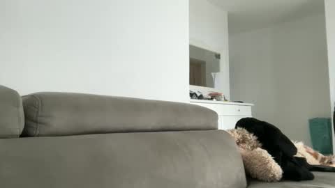 Snapshot of drresa chatting on 10/18/25, 09:54 Dr. Resa online show from 10/18/25, 09:54