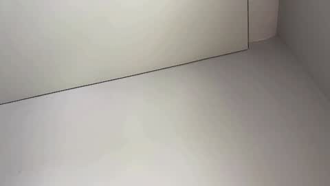 Bella online show from 02/05/25, 03:55