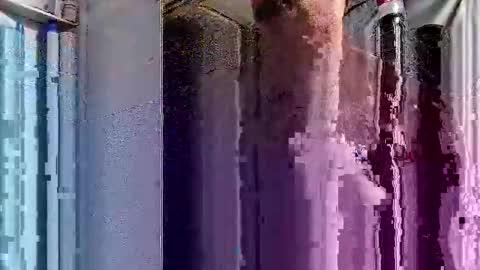 dsmock online show from 10/01/25, 06:08