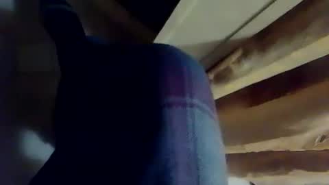 dthedog12 online show from 12/03/25, 10:41