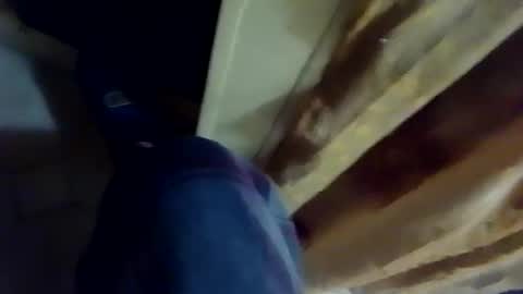 dthedog12 online show from 02/04/26, 03:12