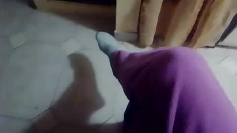 dthedog12 online show from 02/19/26, 10:06