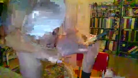 duallines2 online show from 03/14/26, 05:35