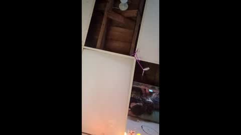 dukenbettykinks online show from 04/17/26, 02:25