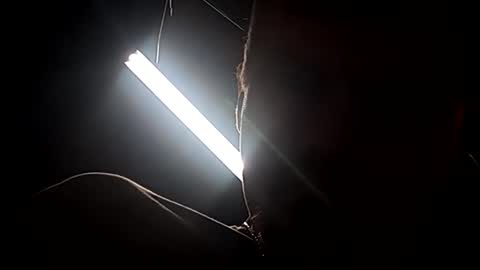 dukester36 online show from 04/24/26, 11:01