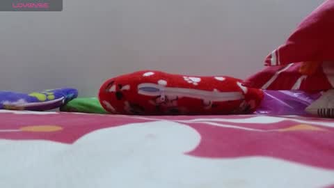 Snapshot of dulce_mmaria chatting on 11/24/25, 02:17 dulce online show from 11/24/25, 02:17