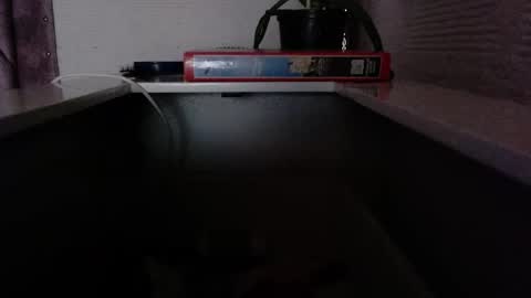 Snapshot of dulce_smith02 chatting on 11/24/25, 05:23 dulce_smith02 online show from 11/24/25, 05:23