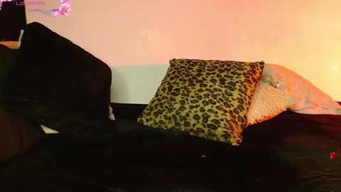   online show from 02/12/26, 01:33