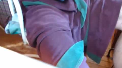 dunany101 online show from 03/07/25, 02:34