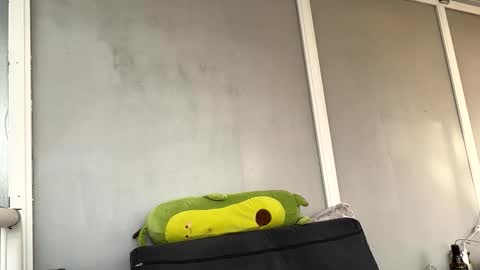 duracelshock online show from 04/17/26, 04:54