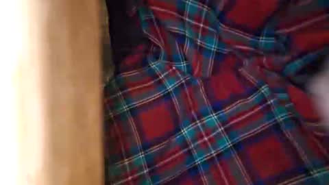 dVe1oPe online show from 03/21/26, 09:25