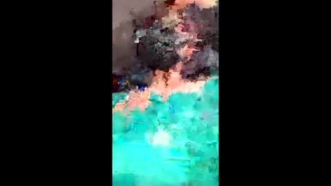 Dxdixi online show from 05/11/26, 10:10