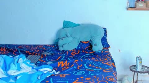 Dylan online show from 02/20/26, 06:26