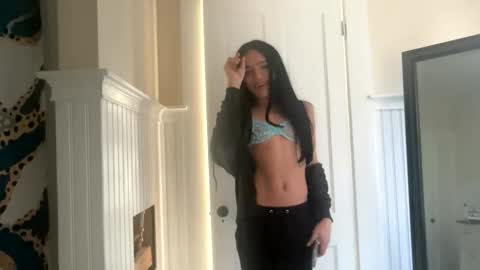 Dynasty online show from 11/17/25, 03:51